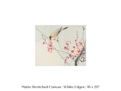 Songbird on Blossom Branch | P147 - Single Art Prints - Piccolo Fiore Prints