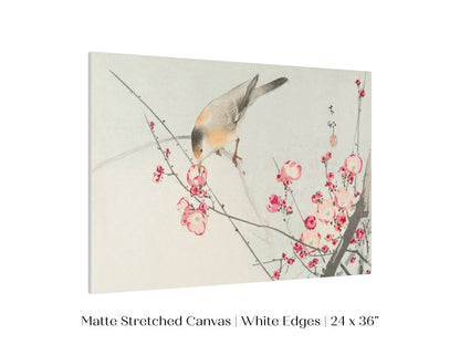 Songbird on Blossom Branch | P147 - Single Art Prints - Piccolo Fiore Prints