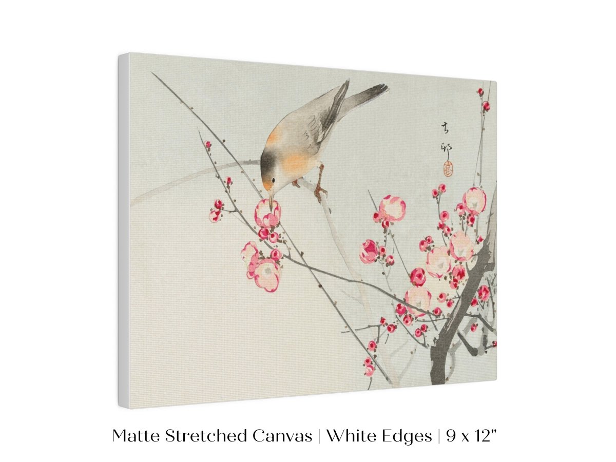 Songbird on Blossom Branch | P147 - Single Art Prints - Piccolo Fiore Prints