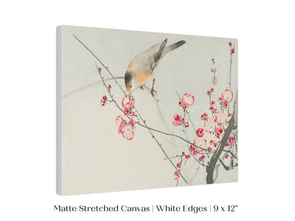 Songbird on Blossom Branch | P147 - Single Art Prints - Piccolo Fiore Prints
