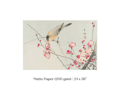 Songbird on Blossom Branch | P147 - Single Art Prints - Piccolo Fiore Prints