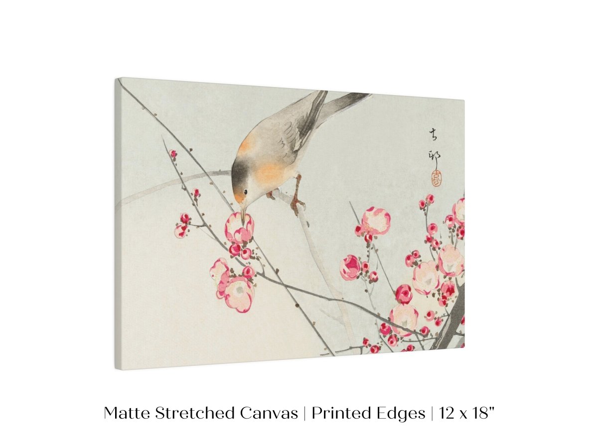 Songbird on Blossom Branch | P147 - Single Art Prints - Piccolo Fiore Prints