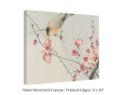 Songbird on Blossom Branch | P147 - Single Art Prints - Piccolo Fiore Prints