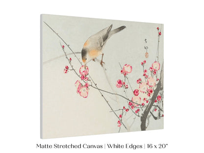 Songbird on Blossom Branch | P147 - Single Art Prints - Piccolo Fiore Prints