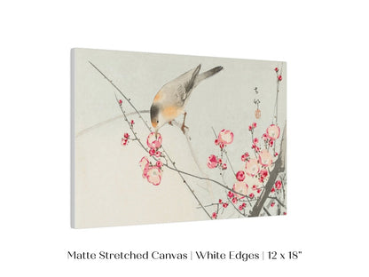 Songbird on Blossom Branch | P147 - Single Art Prints - Piccolo Fiore Prints