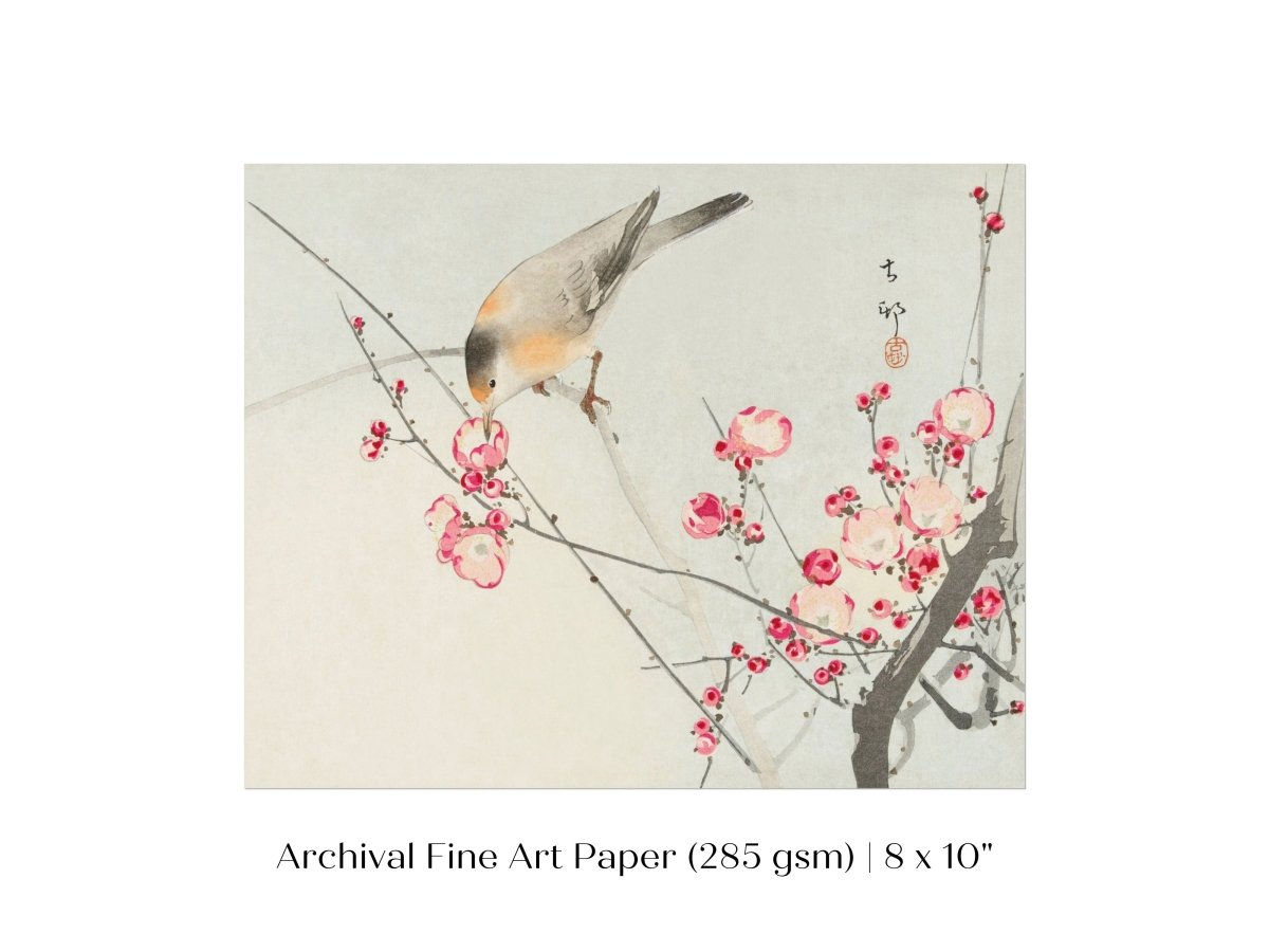 Songbird on Blossom Branch | P147 - Single Art Prints - Piccolo Fiore Prints