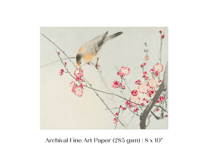 Songbird on Blossom Branch | P147 - Single Art Prints - Piccolo Fiore Prints