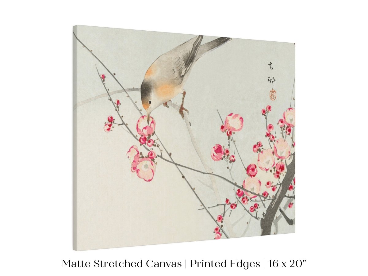 Songbird on Blossom Branch | P147 - Single Art Prints - Piccolo Fiore Prints