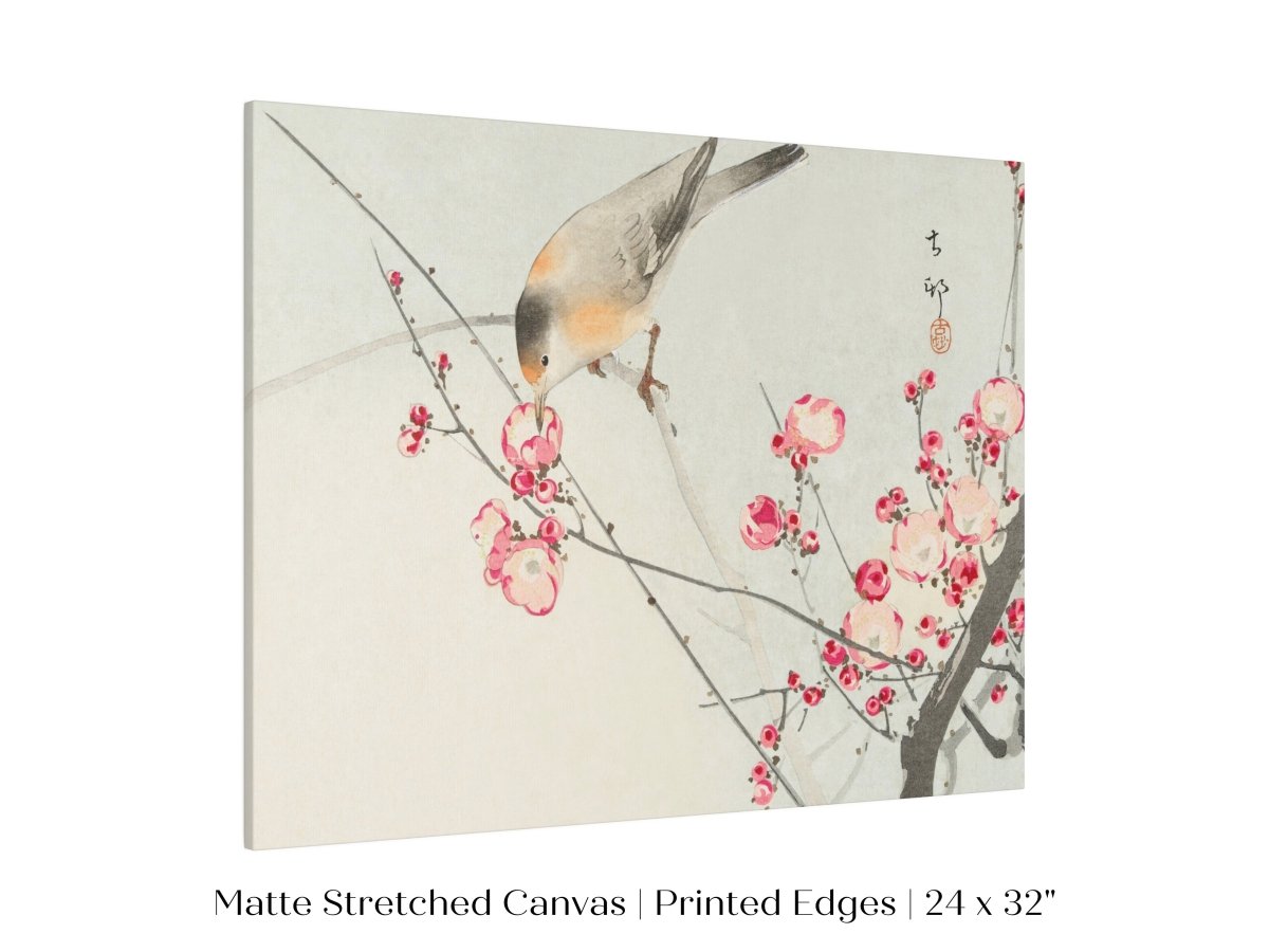Songbird on Blossom Branch | P147 - Single Art Prints - Piccolo Fiore Prints