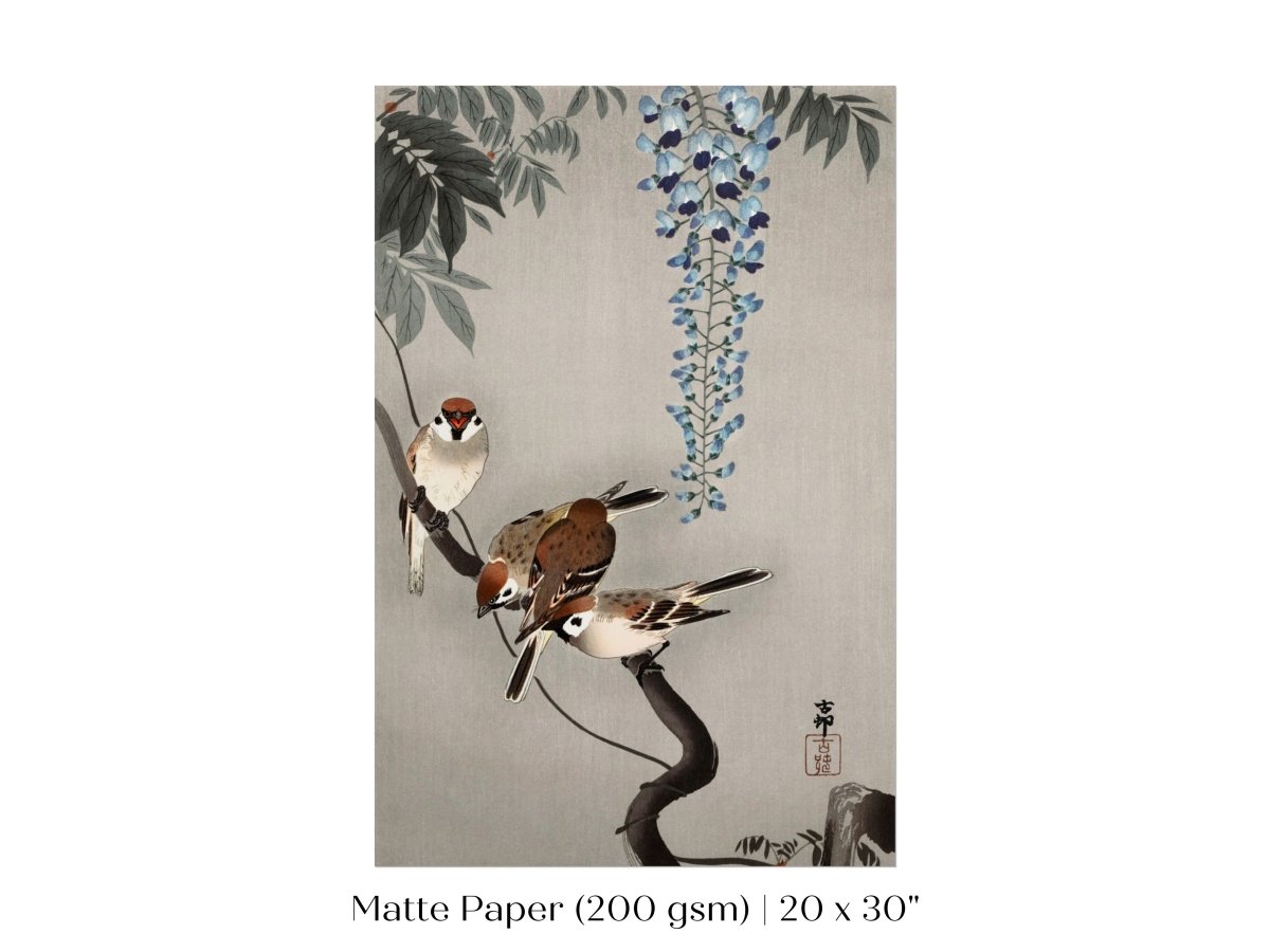 Sparrows and Wisteria | Vintage Japanese Art | P203 - Single Art Prints - Piccolo Fiore Prints