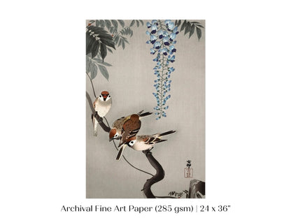 Sparrows and Wisteria | Vintage Japanese Art | P203 - Single Art Prints - Piccolo Fiore Prints