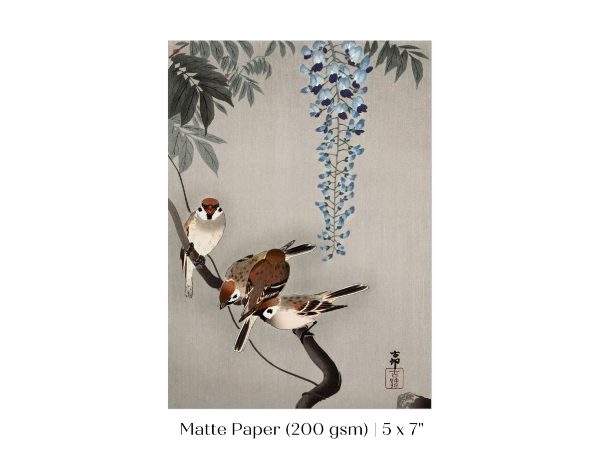 Sparrows and Wisteria | Vintage Japanese Art | P203 - Single Art Prints - Piccolo Fiore Prints