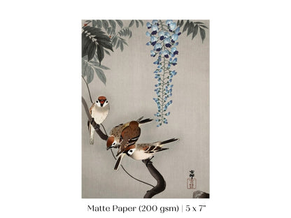 Sparrows and Wisteria | Vintage Japanese Art | P203 - Single Art Prints - Piccolo Fiore Prints