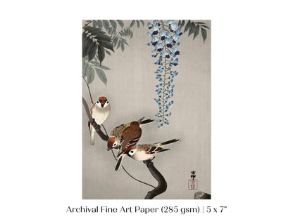 Sparrows and Wisteria | Vintage Japanese Art | P203 - Single Art Prints - Piccolo Fiore Prints