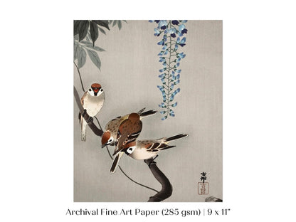 Sparrows and Wisteria | Vintage Japanese Art | P203 - Single Art Prints - Piccolo Fiore Prints
