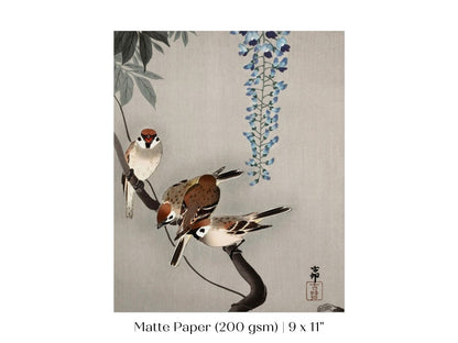 Sparrows and Wisteria | Vintage Japanese Art | P203 - Single Art Prints - Piccolo Fiore Prints