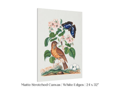 Spotted Flycatcher and Butterfly Illustration | P206 - Single Art Prints - Piccolo Fiore Prints
