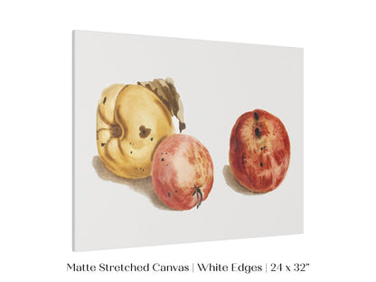 Still Life of a Quince and Two Apples | P35 - Single Art Prints - Piccolo Fiore Prints