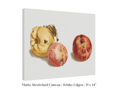 Still Life of a Quince and Two Apples | P35 - Single Art Prints - Piccolo Fiore Prints