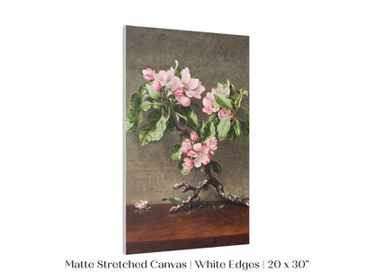Still Life with Apple Blossoms | P146 - Single Art Prints - Piccolo Fiore Prints