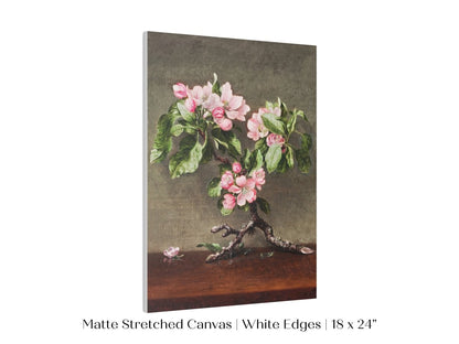 Still Life with Apple Blossoms | P146 - Single Art Prints - Piccolo Fiore Prints