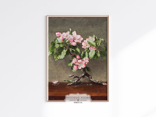 Still Life with Apple Blossoms | P146 - Single Art Prints - Piccolo Fiore Prints