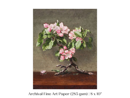 Still Life with Apple Blossoms | P146 - Single Art Prints - Piccolo Fiore Prints