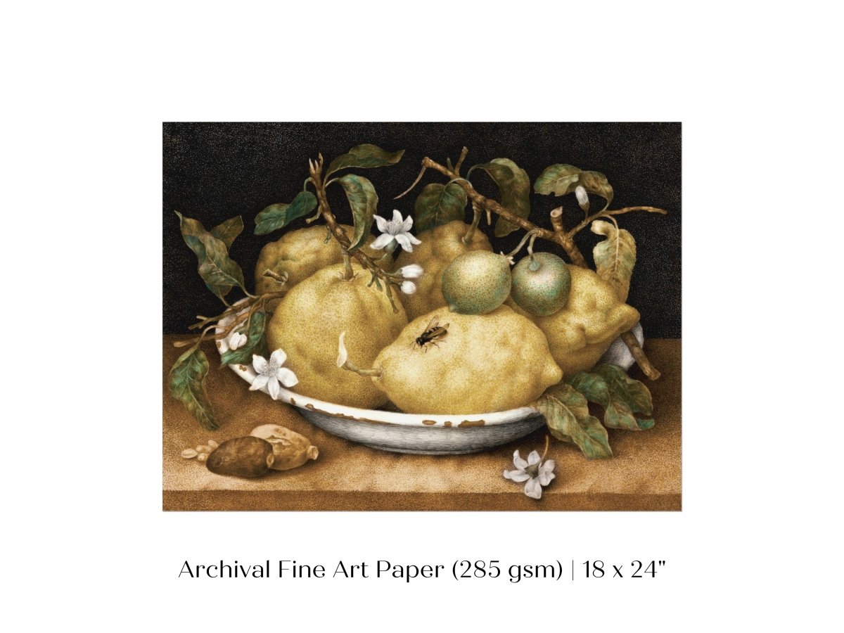 Still Life with Lemons and Limes | P400 - Single Art Prints - Piccolo Fiore Prints