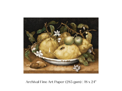 Still Life with Lemons and Limes | P400 - Single Art Prints - Piccolo Fiore Prints