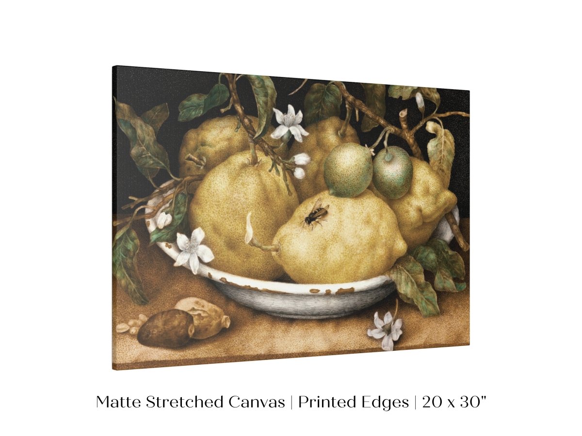 Still Life with Lemons and Limes | P400 - Single Art Prints - Piccolo Fiore Prints