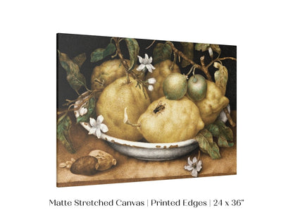 Still Life with Lemons and Limes | P400 - Single Art Prints - Piccolo Fiore Prints