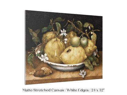 Still Life with Lemons and Limes | P400 - Single Art Prints - Piccolo Fiore Prints