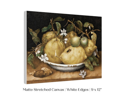 Still Life with Lemons and Limes | P400 - Single Art Prints - Piccolo Fiore Prints