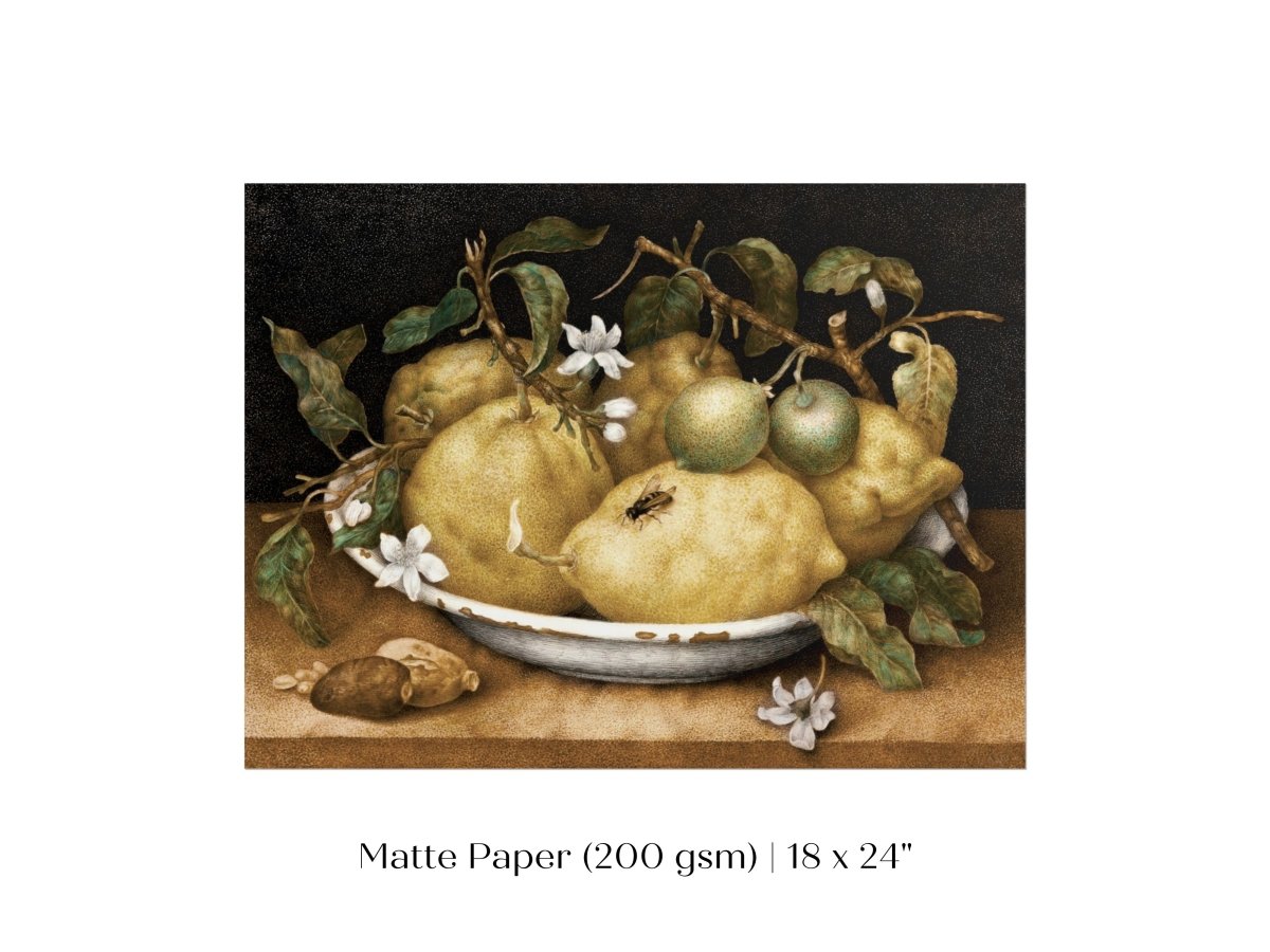 Still Life with Lemons and Limes | P400 - Single Art Prints - Piccolo Fiore Prints