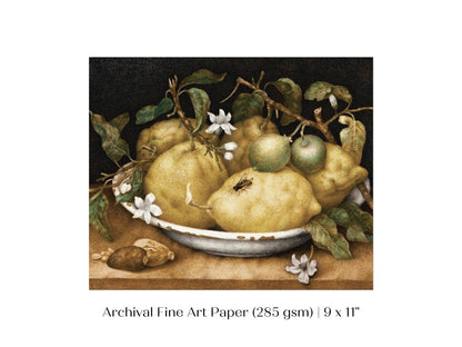 Still Life with Lemons and Limes | P400 - Single Art Prints - Piccolo Fiore Prints