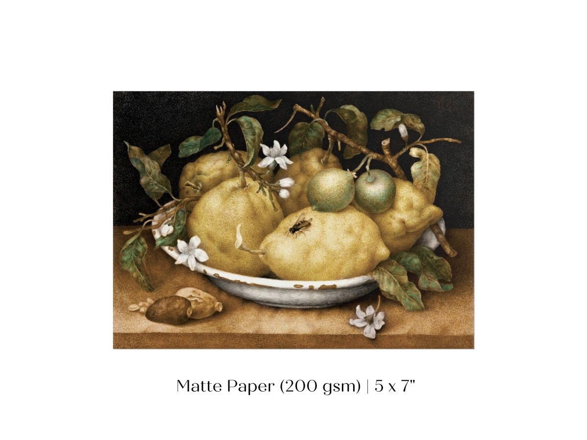 Still Life with Lemons and Limes | P400 - Single Art Prints - Piccolo Fiore Prints