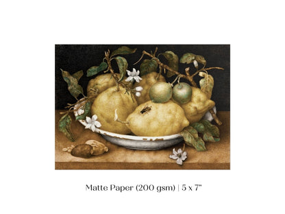 Still Life with Lemons and Limes | P400 - Single Art Prints - Piccolo Fiore Prints