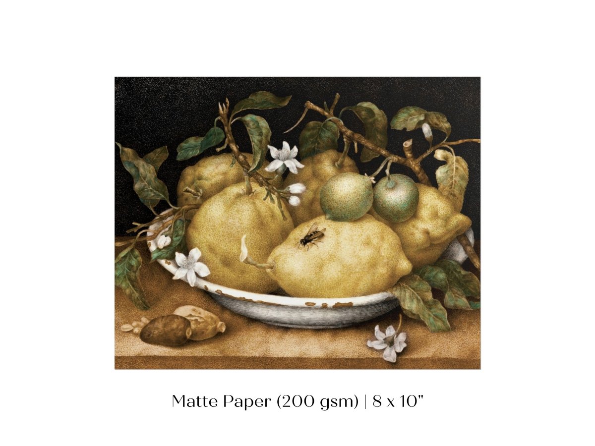 Still Life with Lemons and Limes | P400 - Single Art Prints - Piccolo Fiore Prints