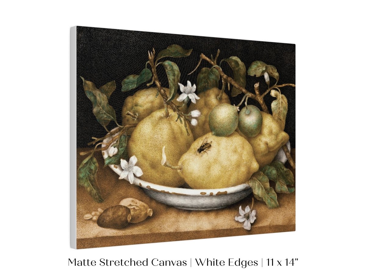 Still Life with Lemons and Limes | P400 - Single Art Prints - Piccolo Fiore Prints