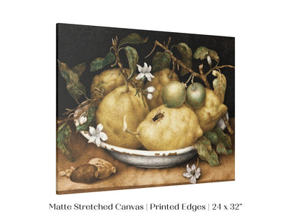 Still Life with Lemons and Limes | P400 - Single Art Prints - Piccolo Fiore Prints