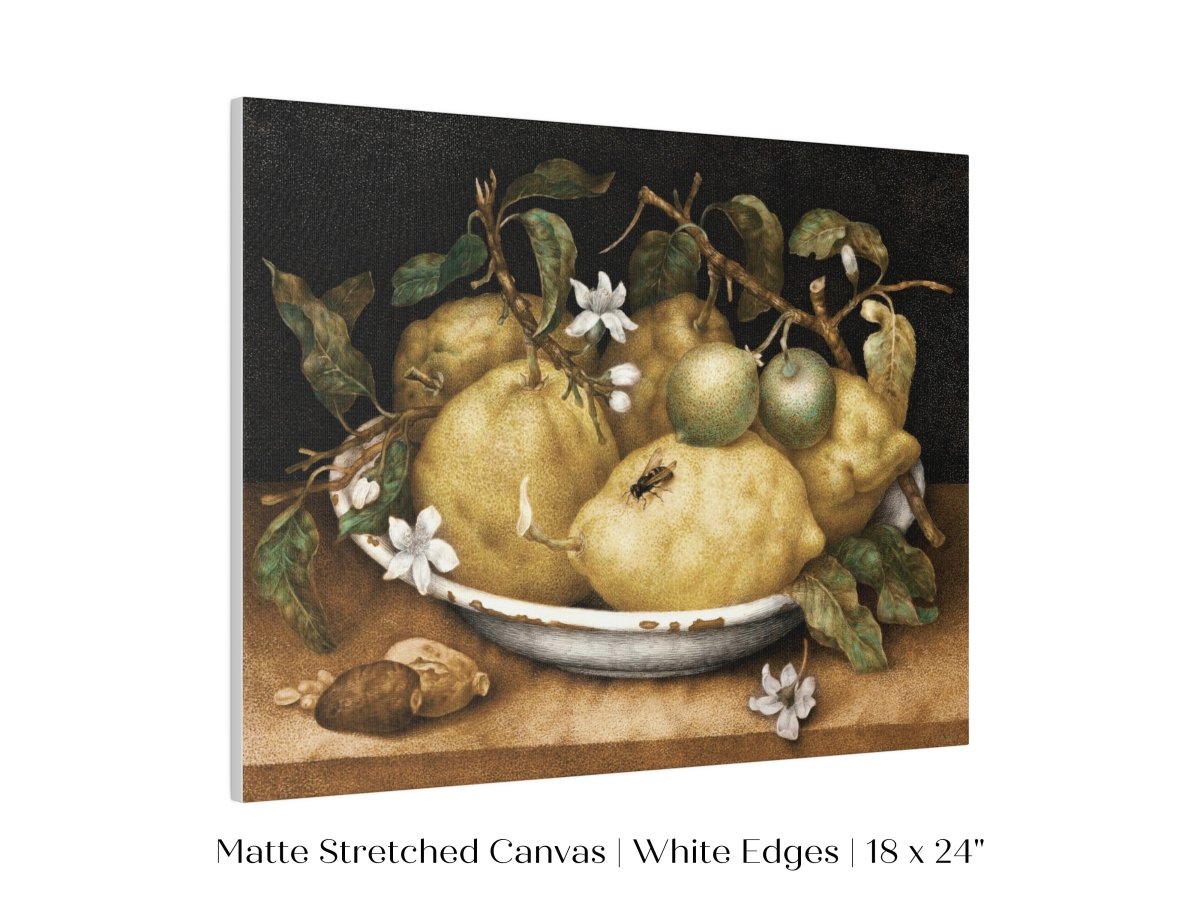 Still Life with Lemons and Limes | P400 - Single Art Prints - Piccolo Fiore Prints