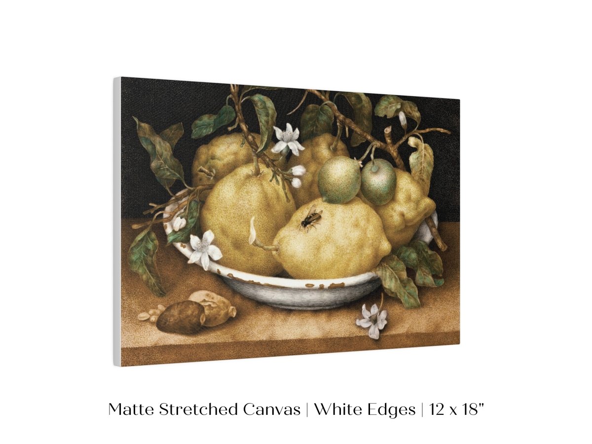 Still Life with Lemons and Limes | P400 - Single Art Prints - Piccolo Fiore Prints