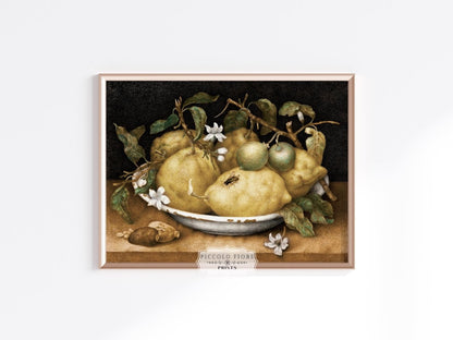 Still Life with Lemons and Limes | P400 - Single Art Prints - Piccolo Fiore Prints