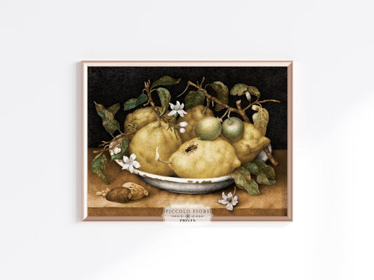 Still Life with Lemons and Limes | P400 - Single Art Prints - Piccolo Fiore Prints