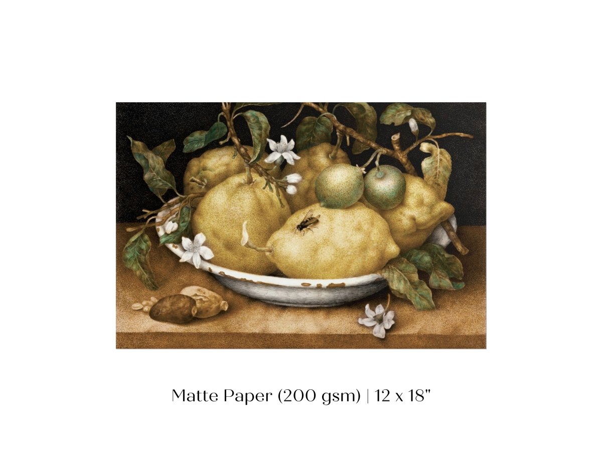 Still Life with Lemons and Limes | P400 - Single Art Prints - Piccolo Fiore Prints