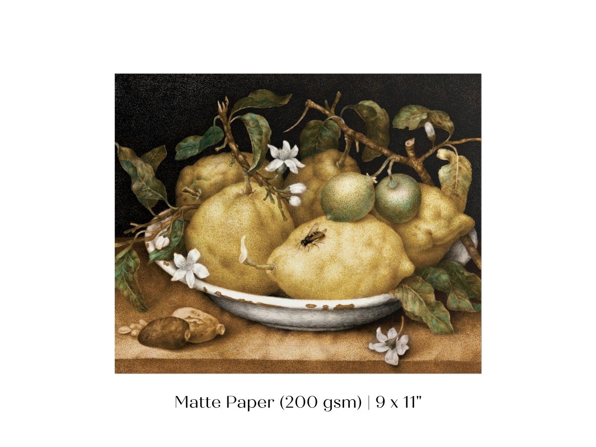 Still Life with Lemons and Limes | P400 - Single Art Prints - Piccolo Fiore Prints