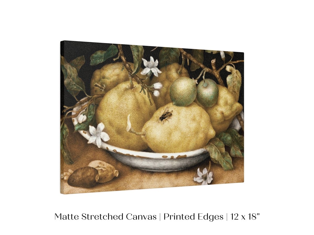 Still Life with Lemons and Limes | P400 - Single Art Prints - Piccolo Fiore Prints