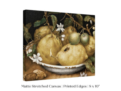 Still Life with Lemons and Limes | P400 - Single Art Prints - Piccolo Fiore Prints