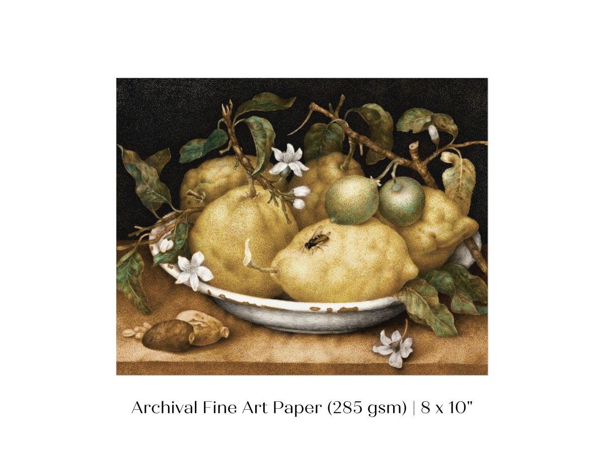 Still Life with Lemons and Limes | P400 - Single Art Prints - Piccolo Fiore Prints
