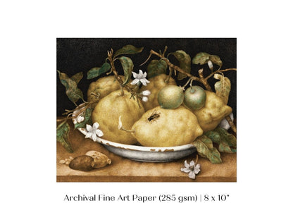 Still Life with Lemons and Limes | P400 - Single Art Prints - Piccolo Fiore Prints